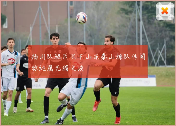 扬州队驳斥买下山东泰山梯队传闻称纯属无稽之谈