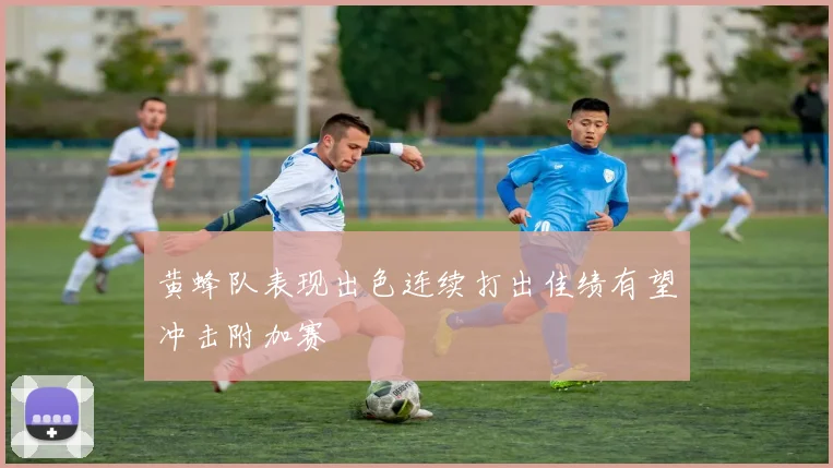 黄蜂队表现出色连续打出佳绩有望冲击附加赛