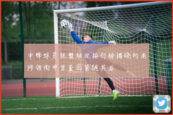 中锋球员联盟助攻排行榜揭晓约老师领衔申京奎因紧随其后