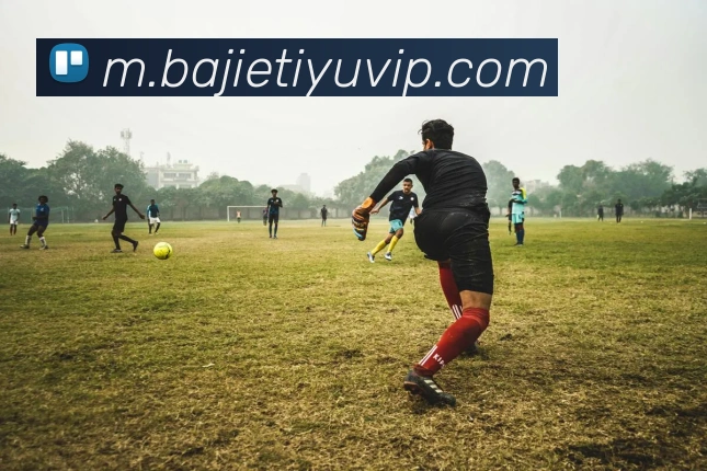 八戒体育服务体系